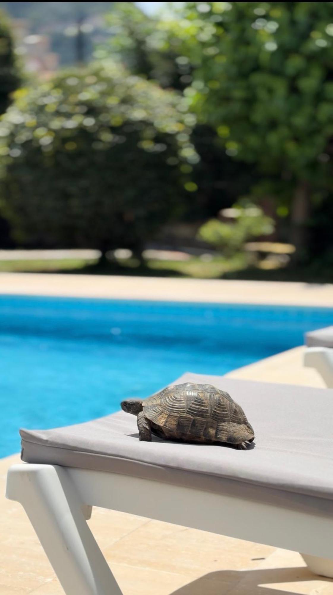 Villa Xanthos 301 Oludeniz Ngoại thất bức ảnh